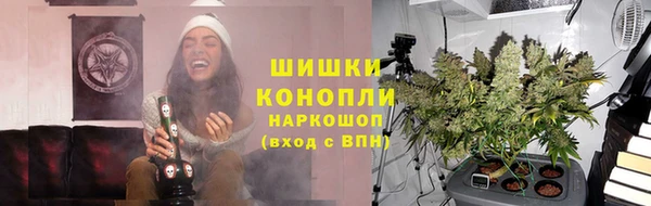 стафф Ростов