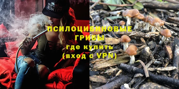 прущие крисы Алексеевка
