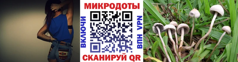 Купить где  Всеволожск  Галлюциногенные грибы Magic Shrooms 