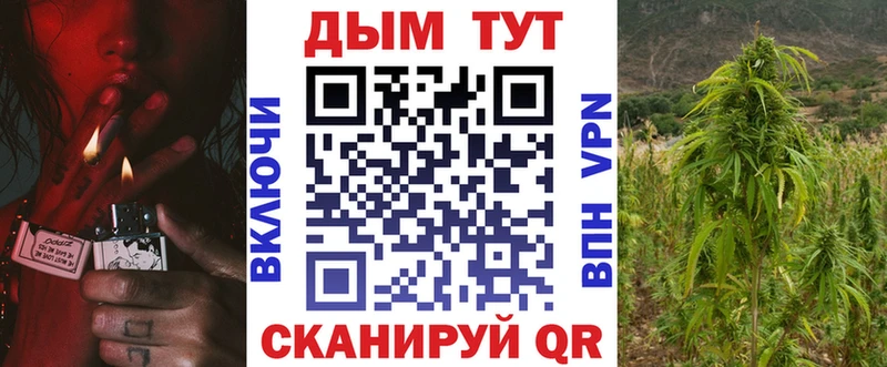 Купить закладки  Всеволожск  Канабис SATIVA & INDICA 